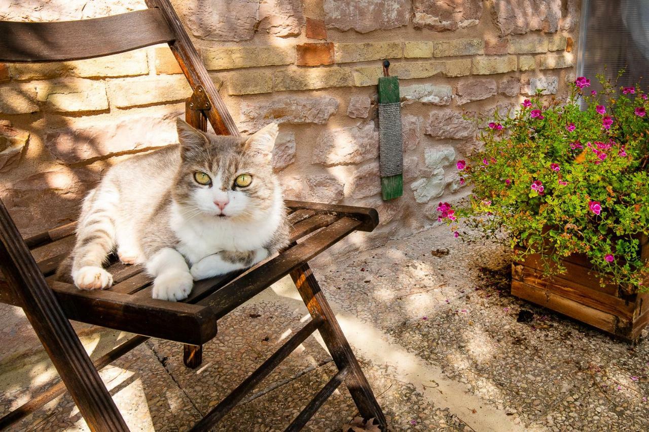Apartmán Casamenetto Vacanze Sassoferrato Exteriér fotografie